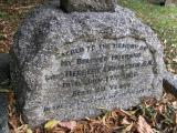 image of grave number 196002